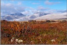 Rondane 1