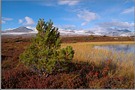 Rondane 3