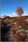 Rondane 5