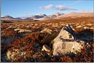 Rondane 14