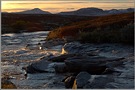 Rondane 12