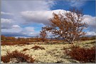 Rondane 50