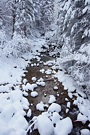 Winter im Allgäu