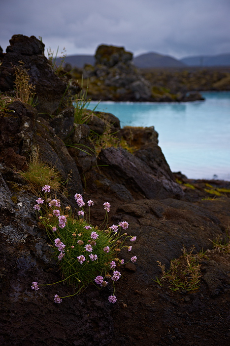 Island - Blaue Lagune