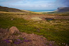 Island - Breiðavík II