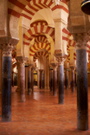 Spanien - Mezquita XIII