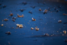Wintersee II