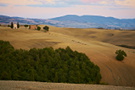 Italien - Val d'Orcia II