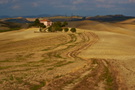 Italien - Val d\'Orcia IV