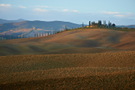 Italien - Val d'Orcia XV