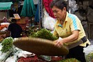 Bangkok 20