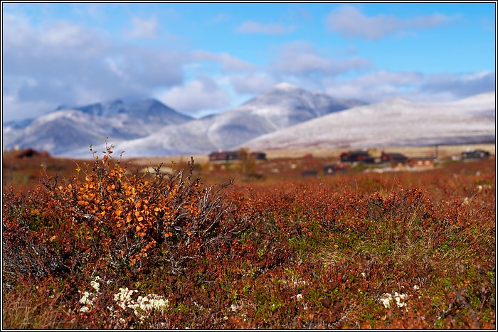 Rondane 1