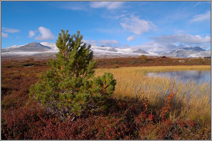 Rondane 3