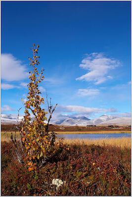 Rondane 4