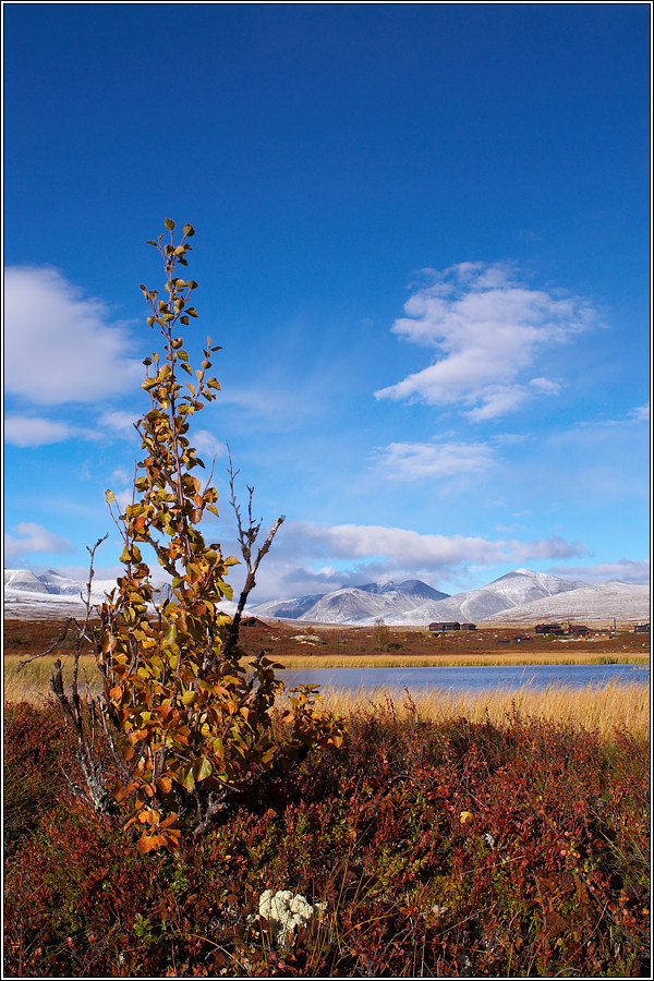 Rondane 4