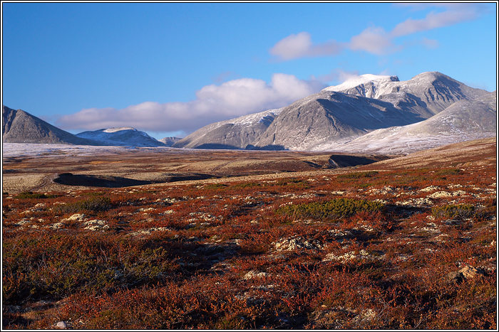Rondane 8