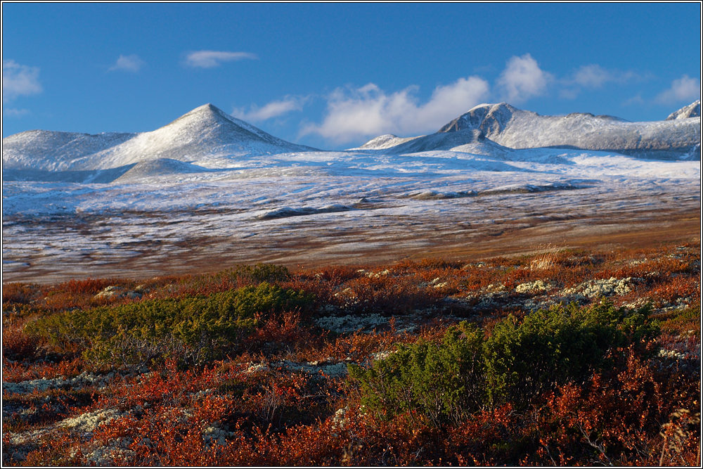 Rondane 13