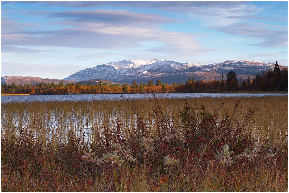 Rondane 25