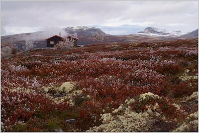 Rondane 27