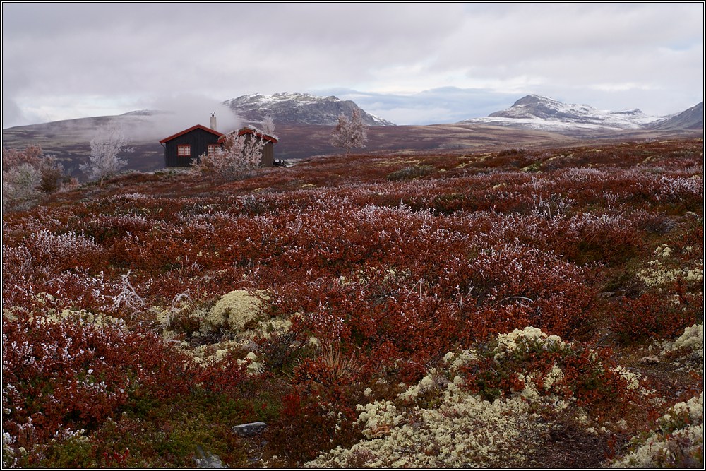 Rondane 27