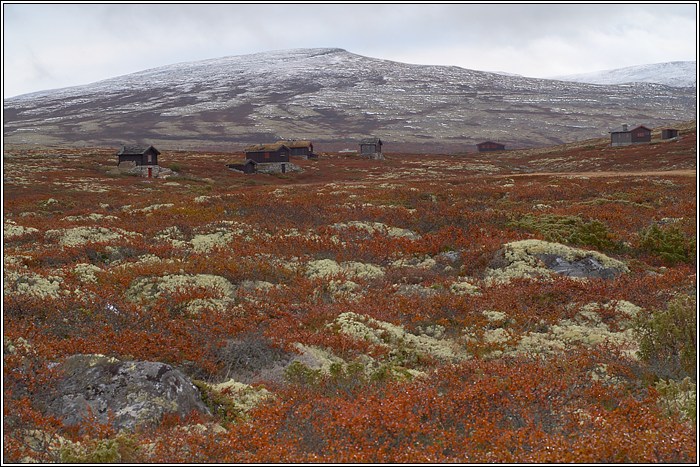 Rondane 31