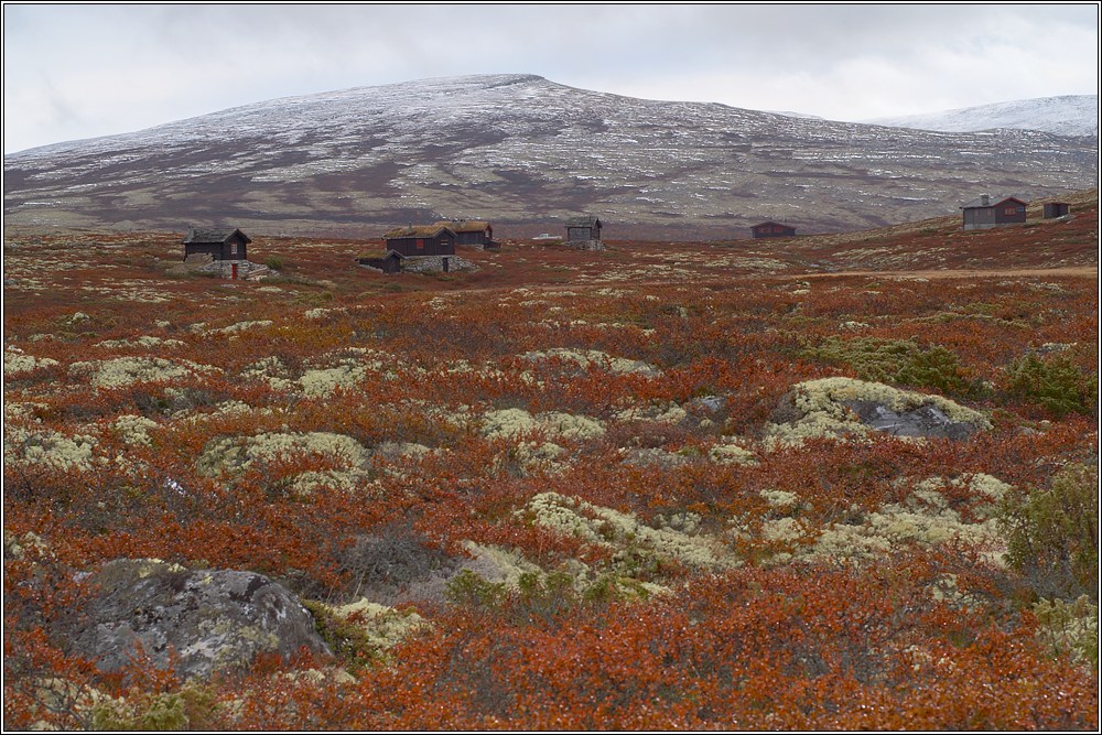 Rondane 31