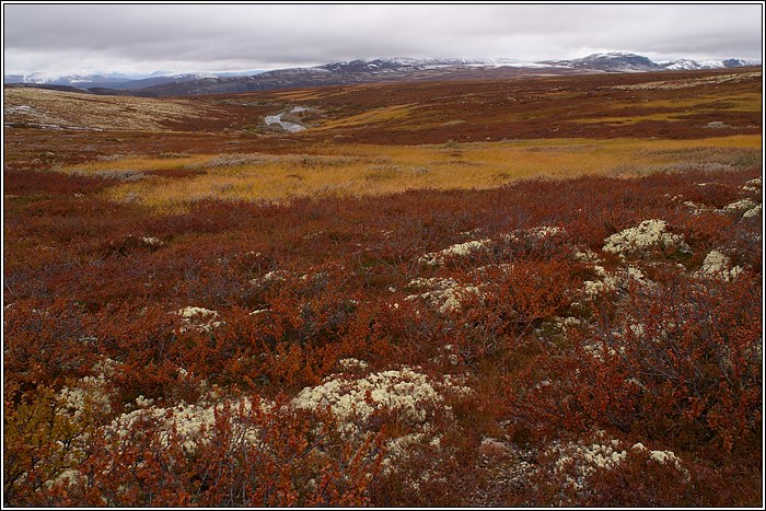 Rondane 36