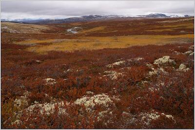 Rondane 36