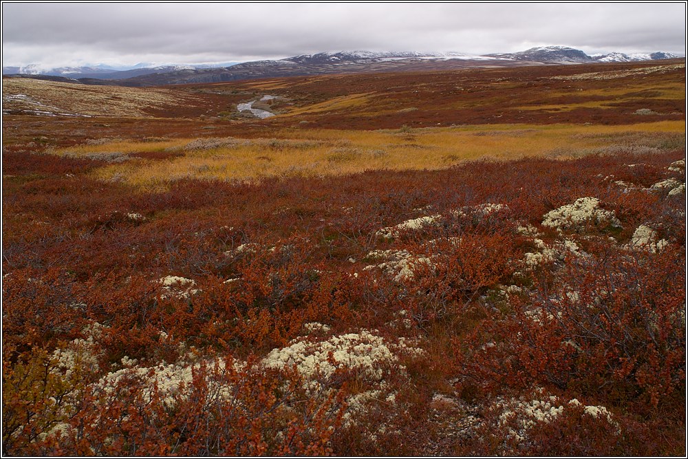 Rondane 36