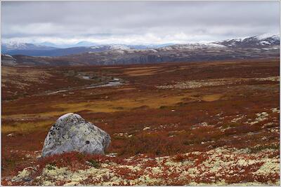 Rondane 37