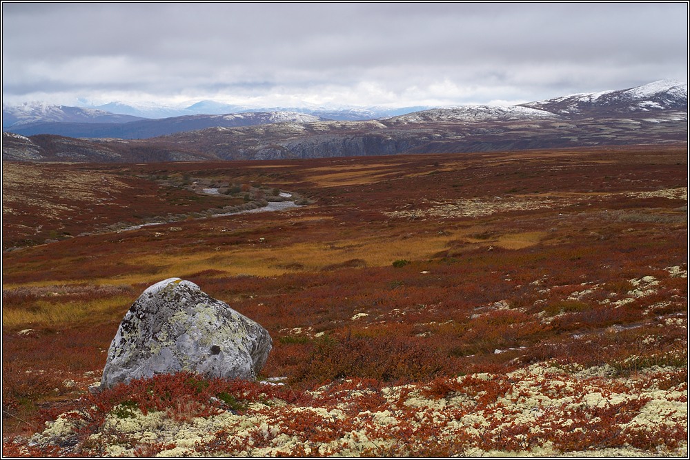 Rondane 37