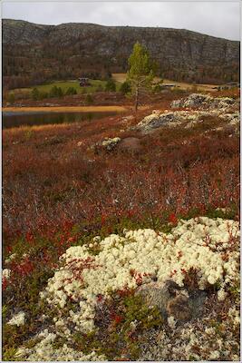 Rondane 38