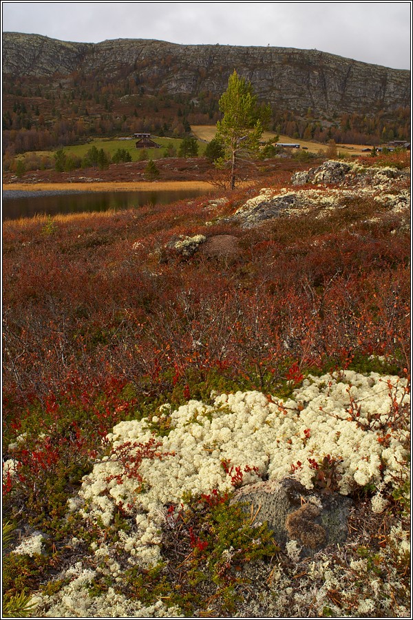 Rondane 38