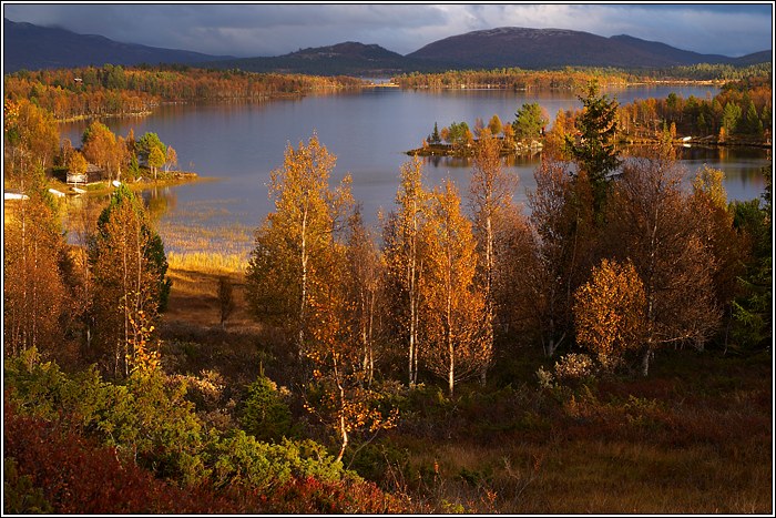 Rondane 39