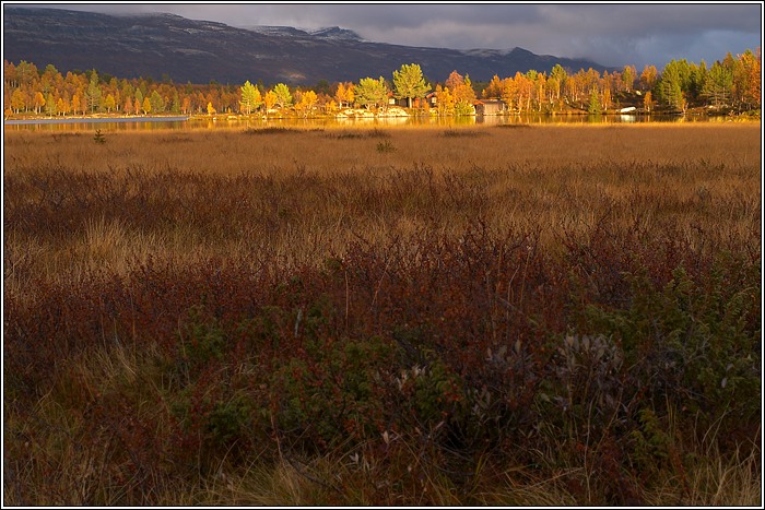 Rondane 40