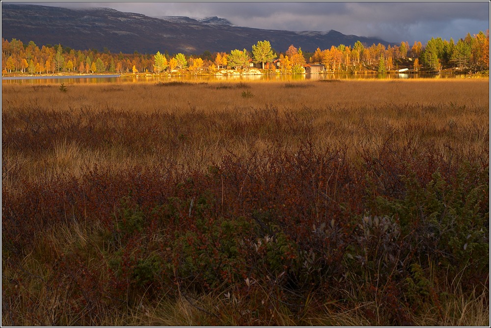 Rondane 40