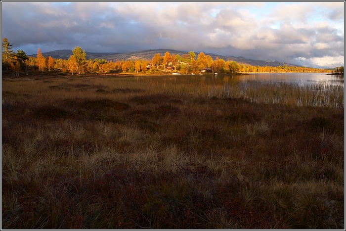 Rondane 42