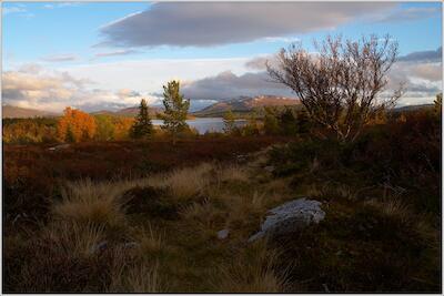 Rondane 43