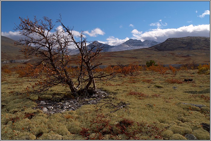 Rondane 48