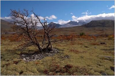 Rondane 48