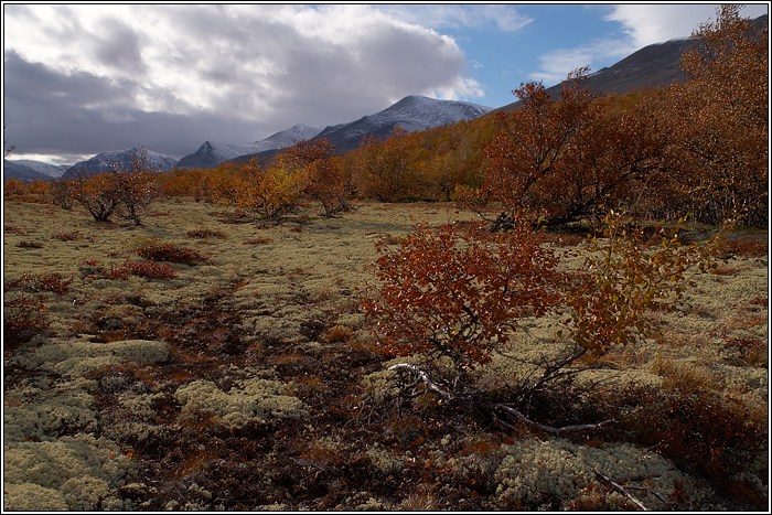 Rondane 49