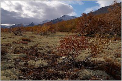 Rondane 49