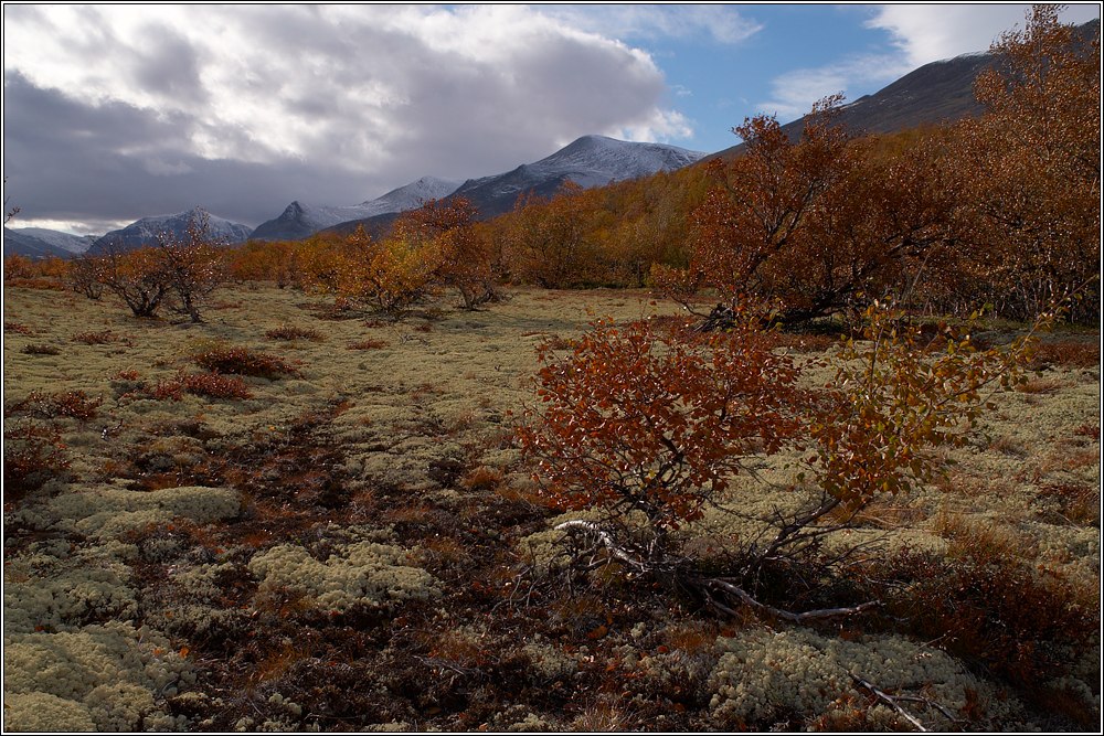 Rondane 49