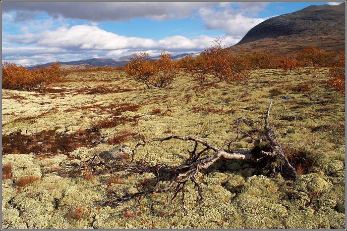 Rondane 52