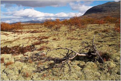 Rondane 52