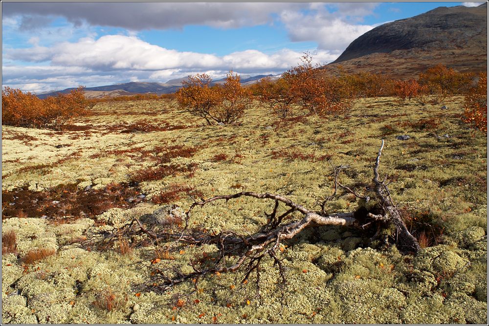 Rondane 52