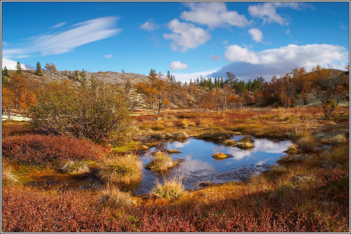 Rondane 53