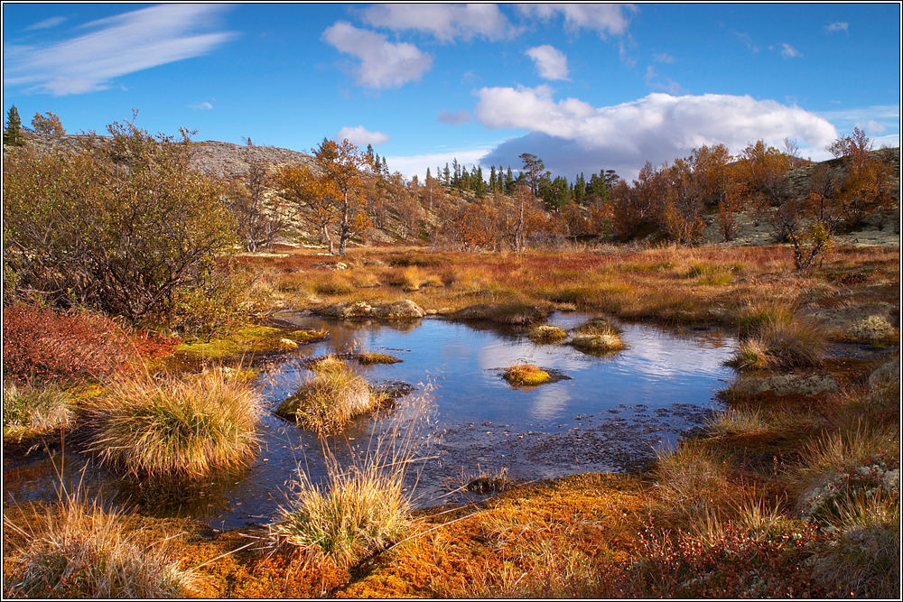 Rondane 54
