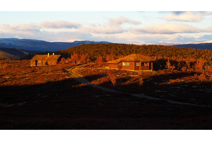 Rondane 60
