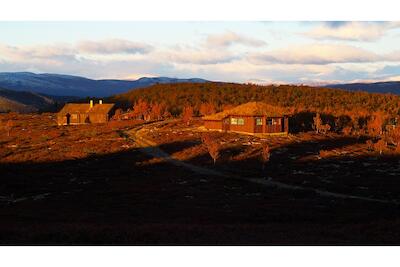 Rondane 60
